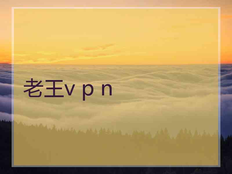 老王v p n