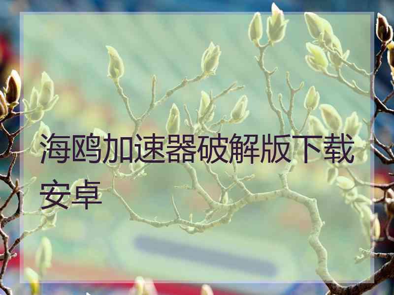 海鸥加速器破解版下载安卓