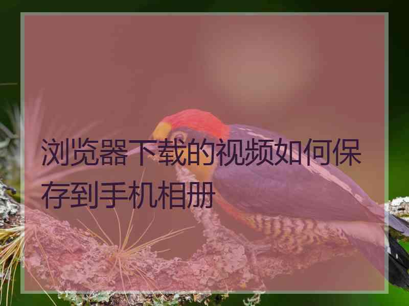 浏览器下载的视频如何保存到手机相册