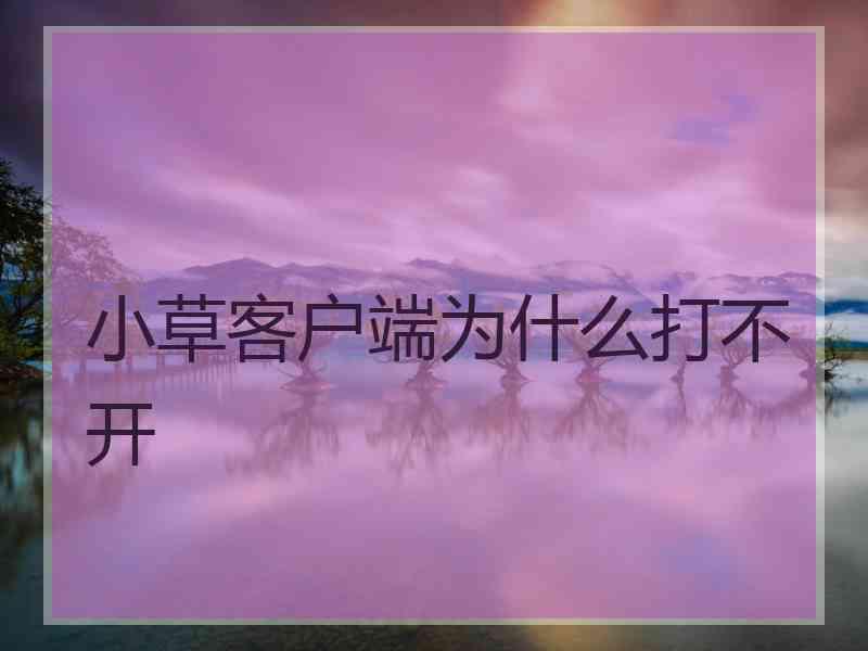 小草客户端为什么打不开