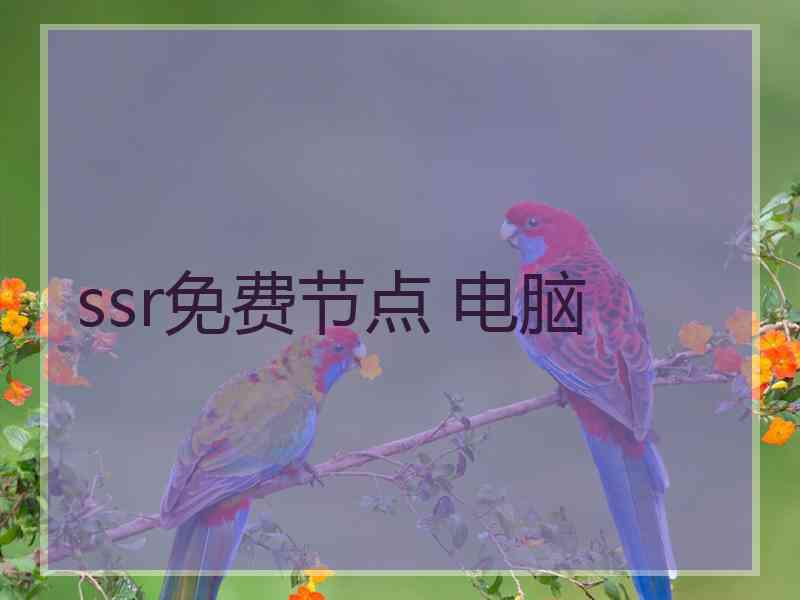 ssr免费节点 电脑