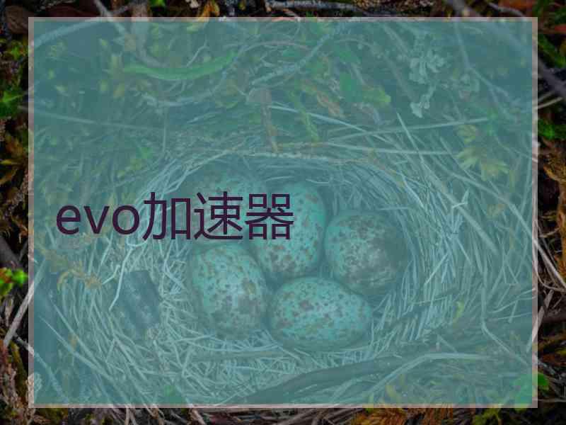 evo加速器