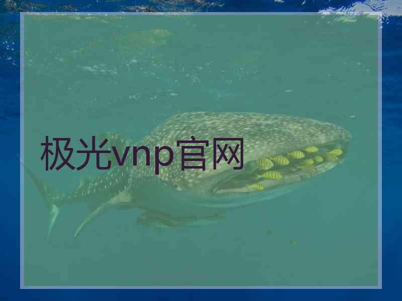 极光vnp官网
