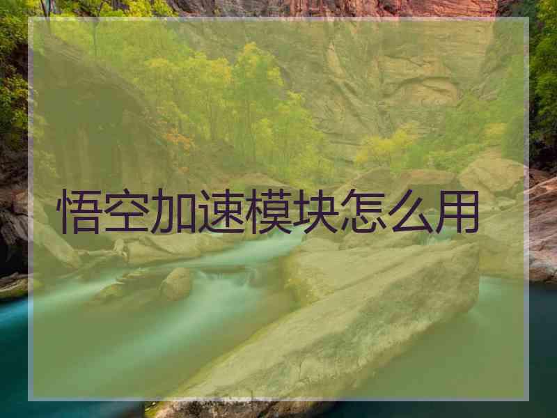 悟空加速模块怎么用