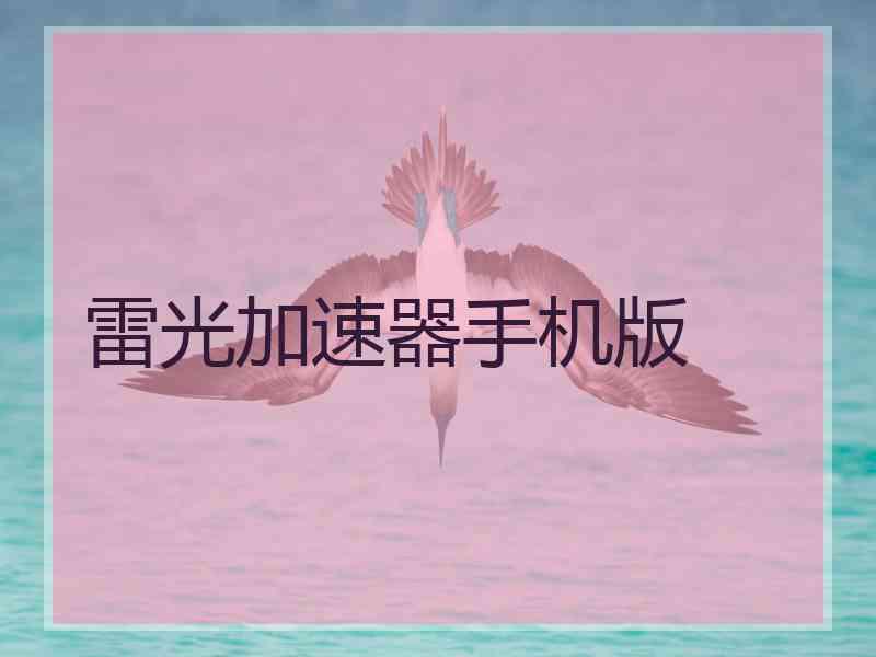 雷光加速器手机版