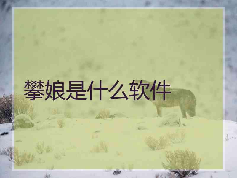 攀娘是什么软件