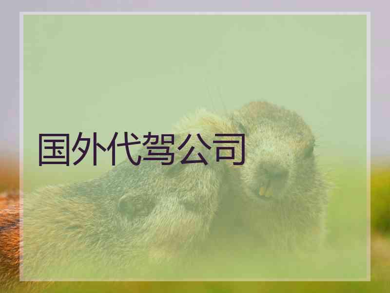 国外代驾公司