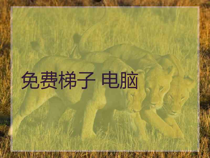 免费梯子 电脑