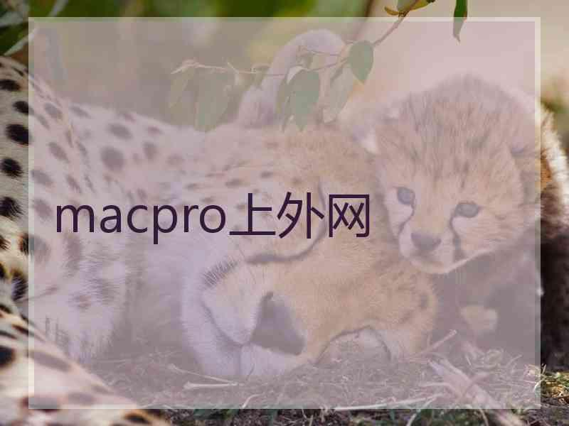 macpro上外网