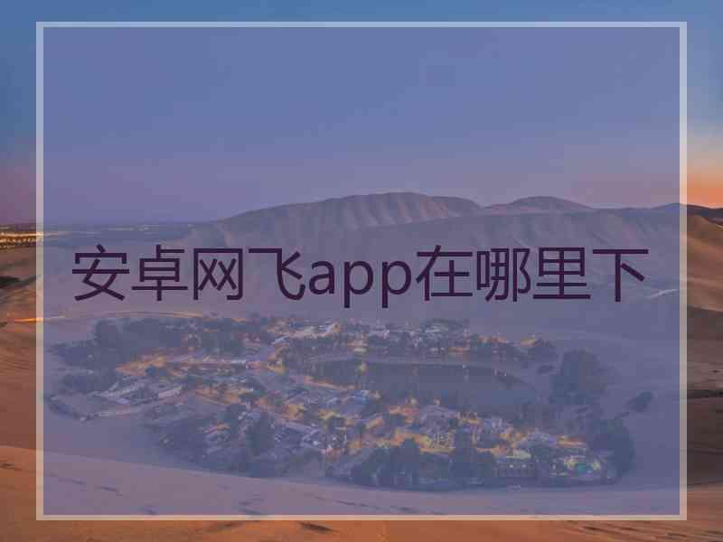 安卓网飞app在哪里下