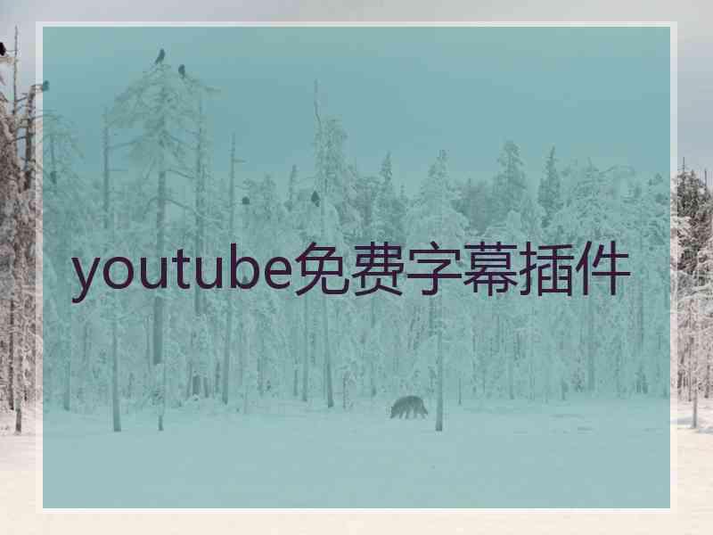 youtube免费字幕插件