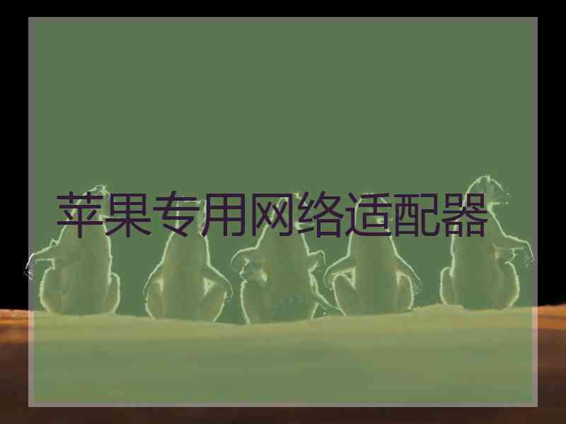 苹果专用网络适配器