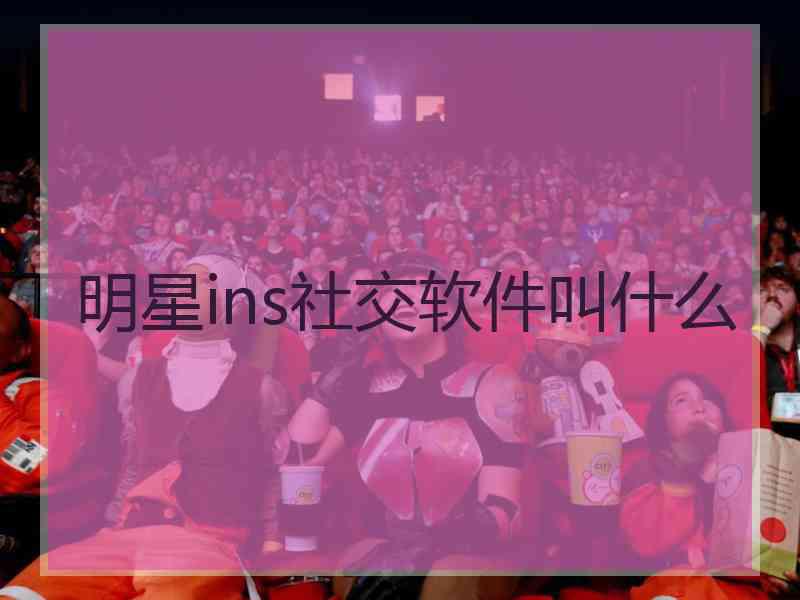 明星ins社交软件叫什么