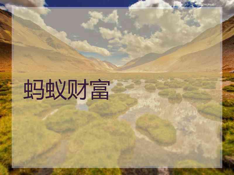 蚂蚁财富