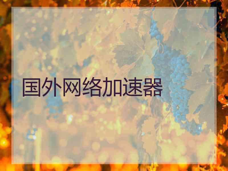 国外网络加速器