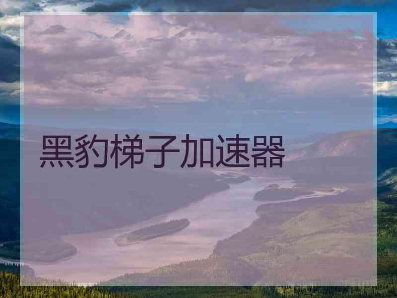 黑豹梯子加速器