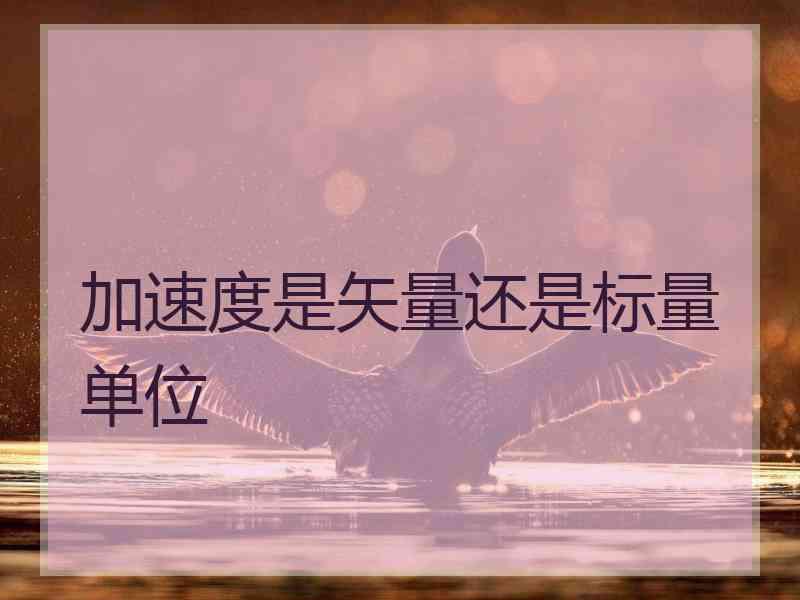 加速度是矢量还是标量单位