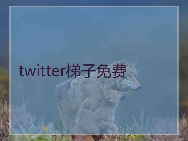 twitter梯子免费