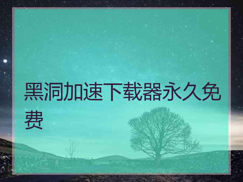 黑洞加速下载器永久免费