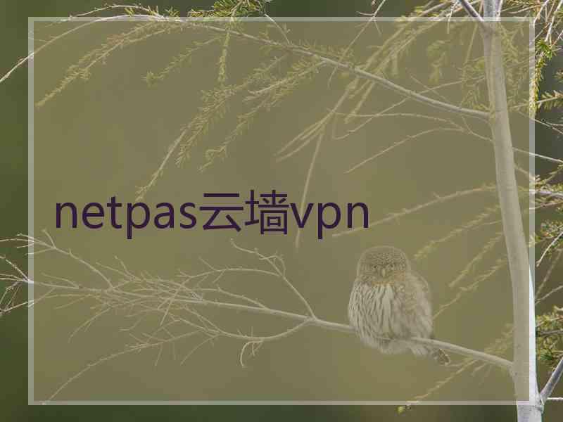 netpas云墙vpn