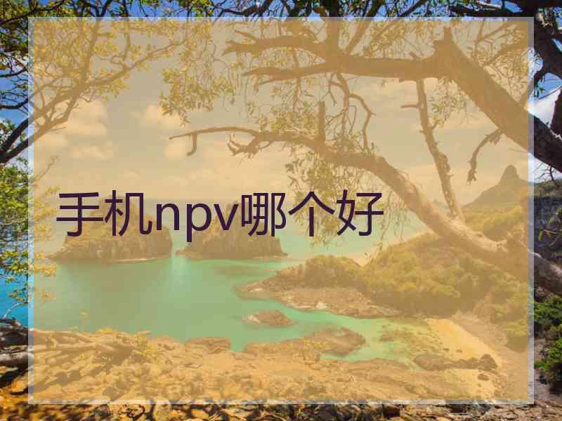 手机npv哪个好