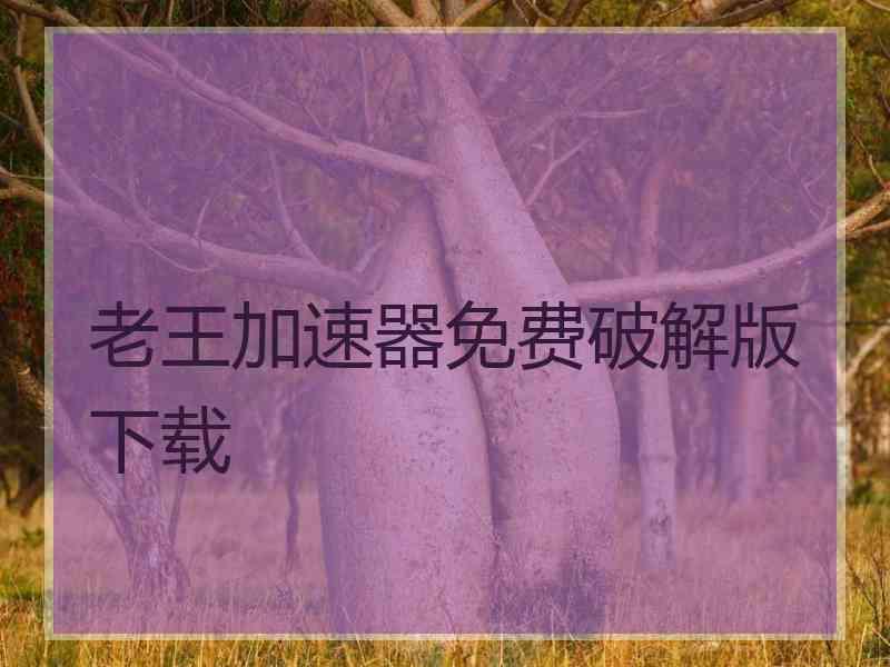 老王加速器免费破解版下载