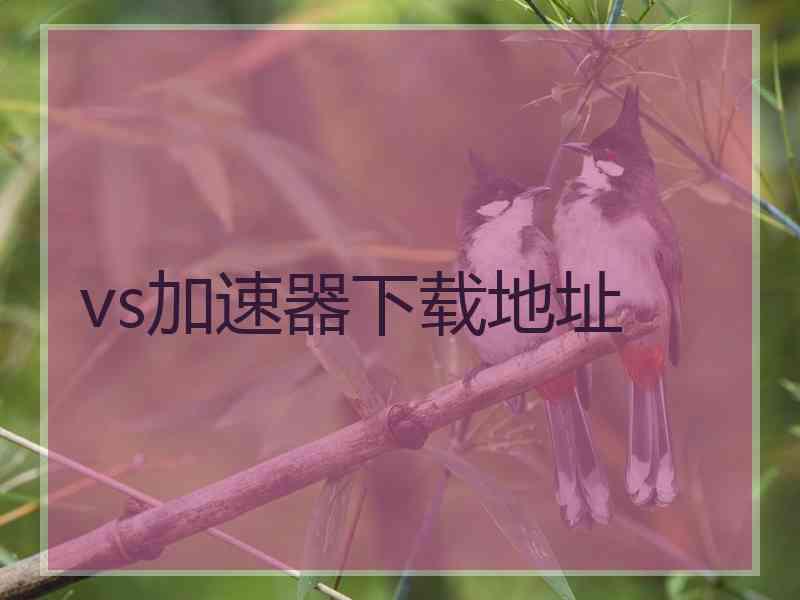 vs加速器下载地址