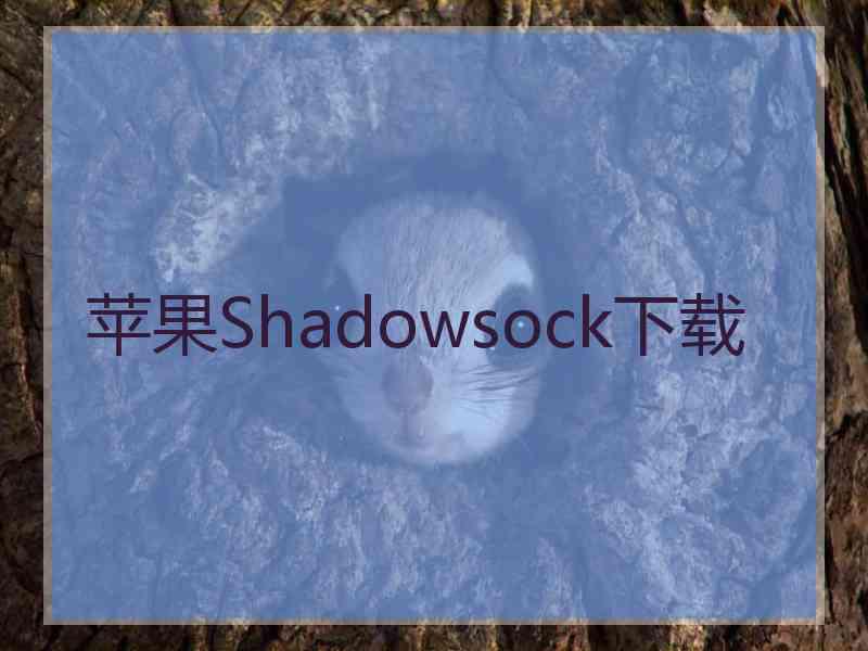 苹果Shadowsock下载