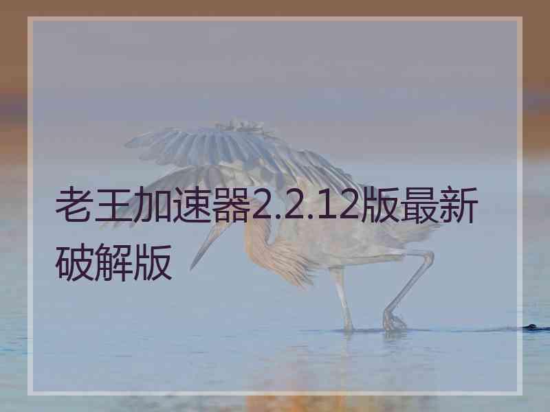 老王加速器2.2.12版最新破解版