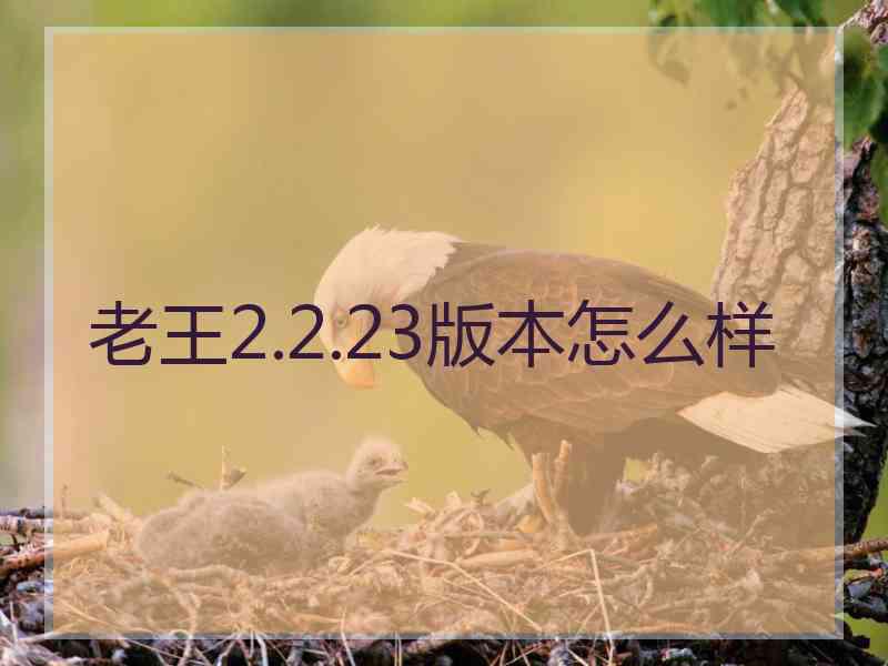 老王2.2.23版本怎么样