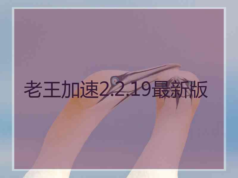 老王加速2.2.19最新版