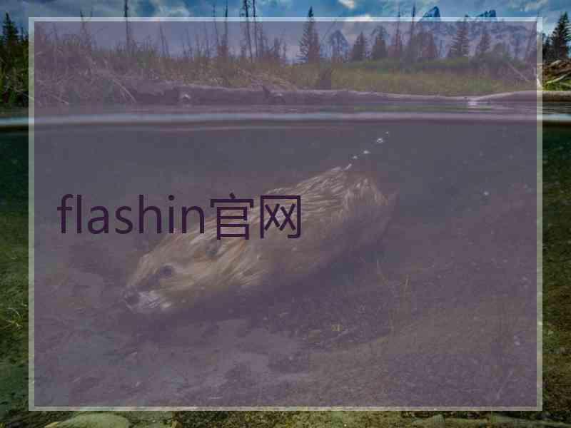 flashin官网