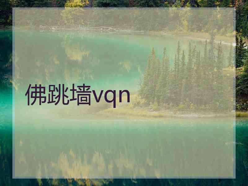 佛跳墙vqn