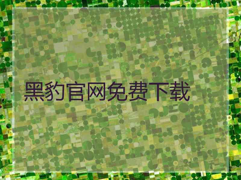 黑豹官网免费下载