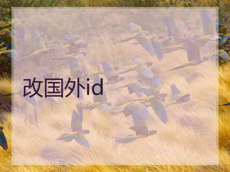 改国外id
