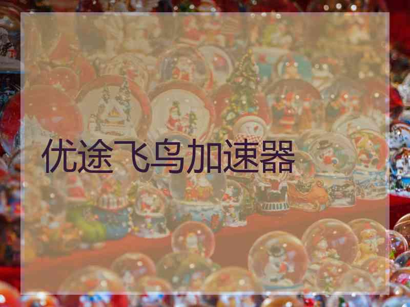 优途飞鸟加速器