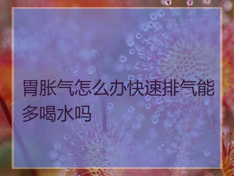 胃胀气怎么办快速排气能多喝水吗