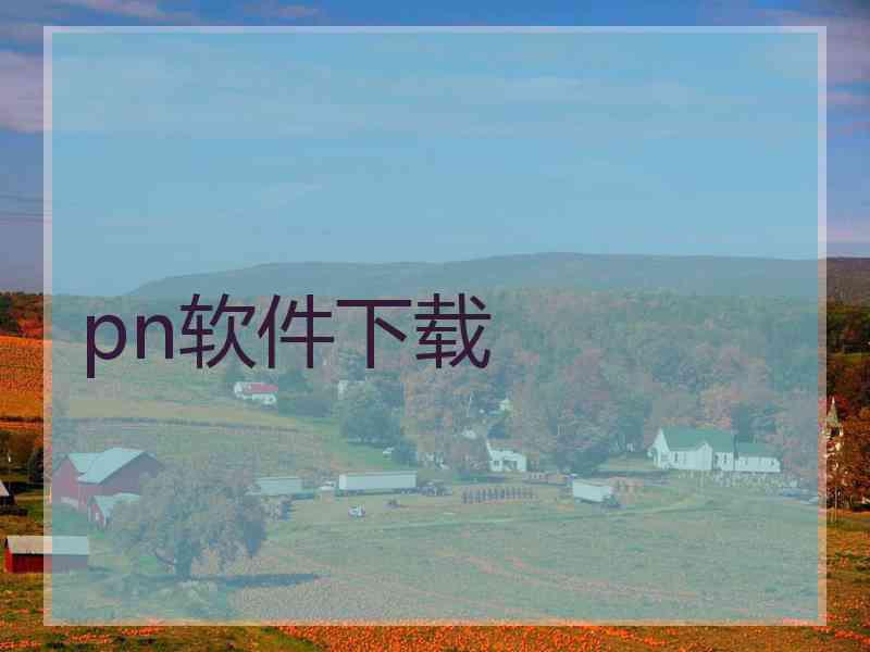 pn软件下载