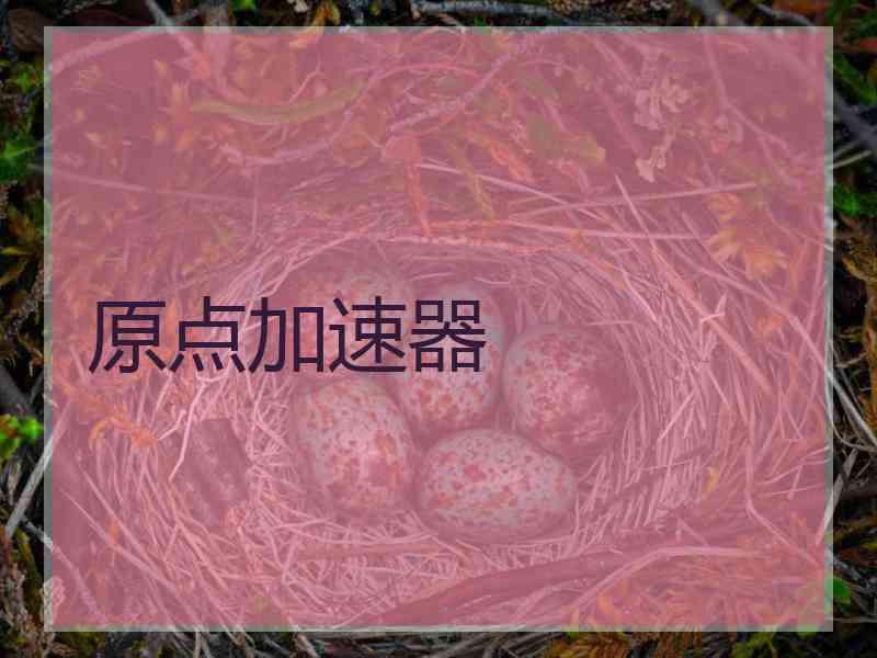 原点加速器