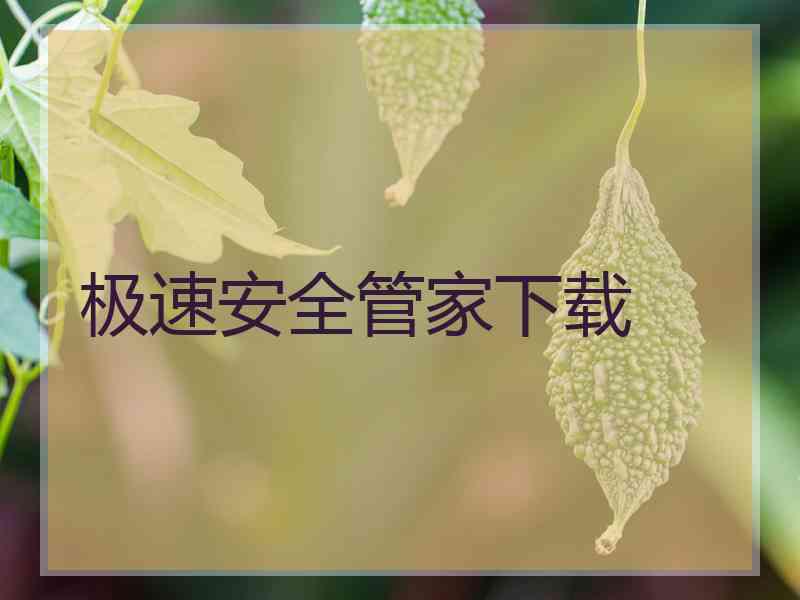 极速安全管家下载