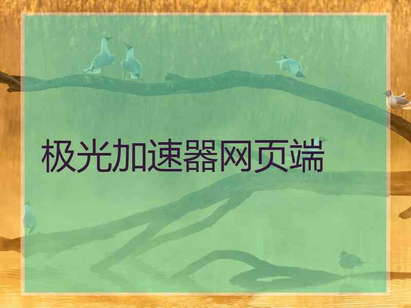 极光加速器网页端