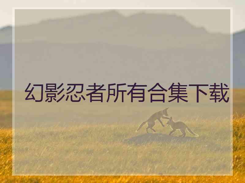 幻影忍者所有合集下载