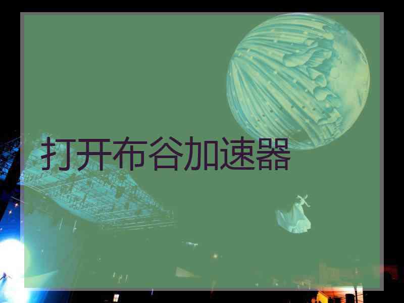 打开布谷加速器