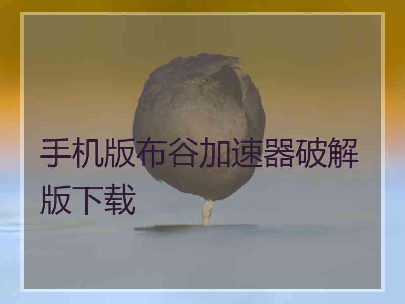 手机版布谷加速器破解版下载