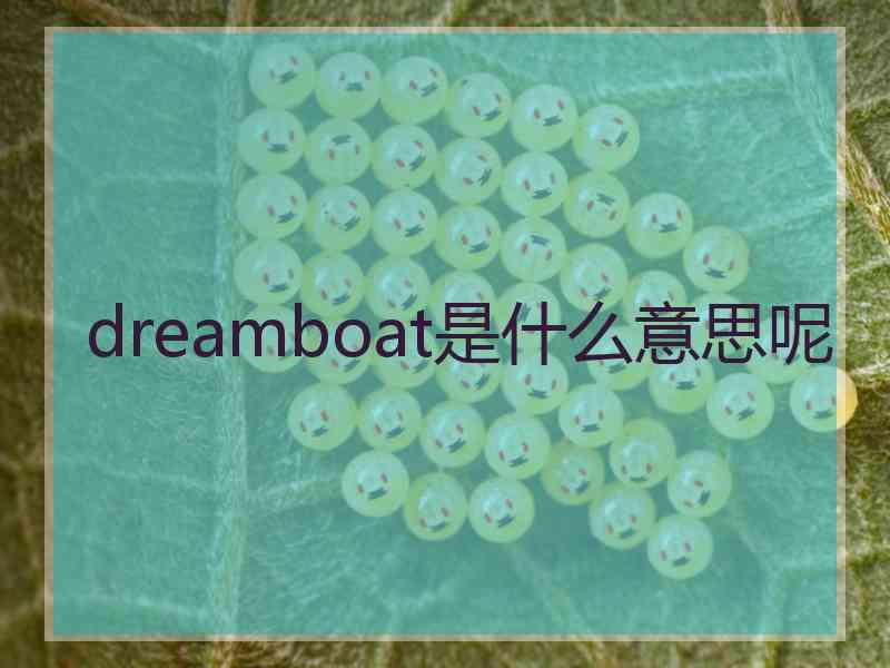 dreamboat是什么意思呢