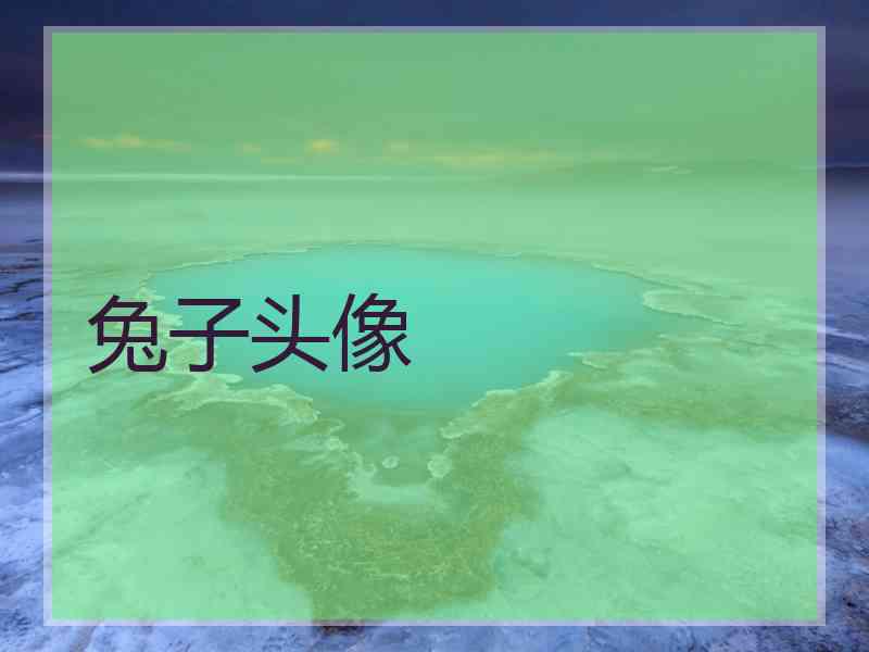 兔子头像