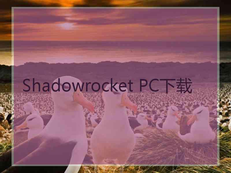 Shadowrocket PC下载