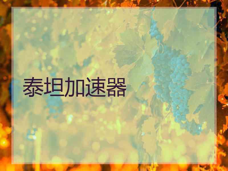 泰坦加速器