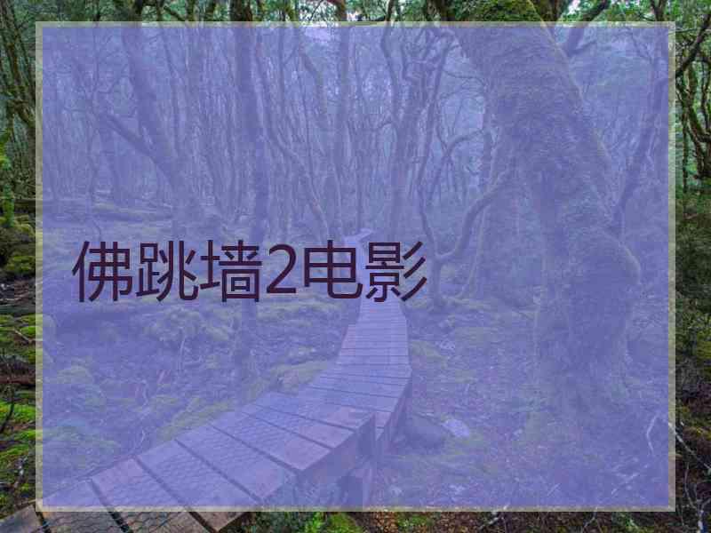 佛跳墙2电影