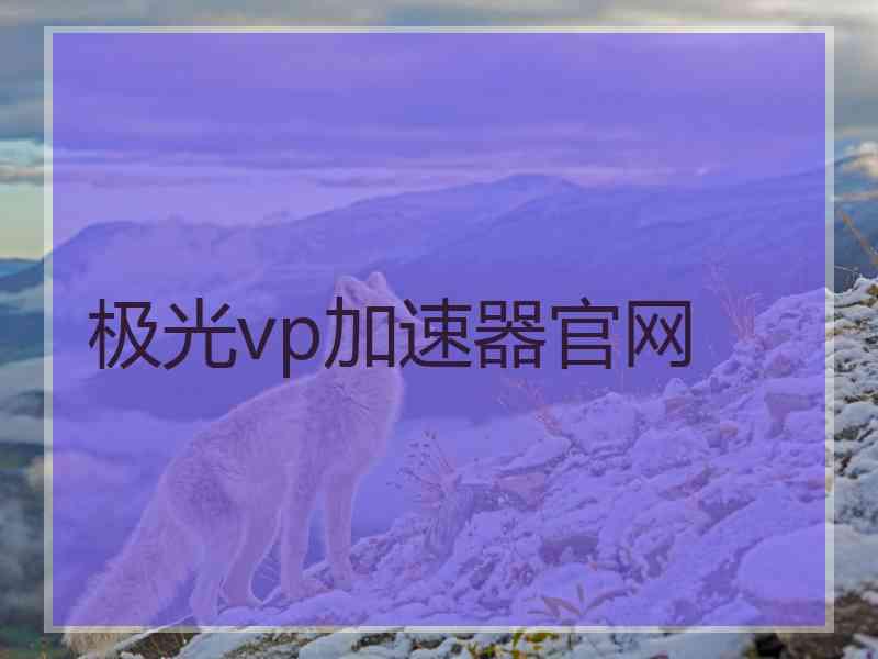 极光vp加速器官网